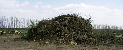 Auf Grund der Waldbrandwarnstufe IV durften die Holzstapel auf dem Mhlberg nicht angezndet werden.