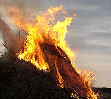 Traditions-/Osterfeuer - 2009