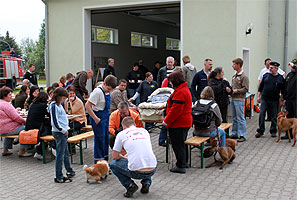 9. Tag der offenen Tr - 2010